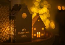 HOROSKOPA ZĪMES, kurām DECEMBRIS būs ĪPAŠI LABVĒLĪGS Photo by Fer Troulik on Unsplash