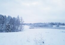 Diemžēl sinoptiķiem nav iepriecinošu ziņu par brīvdienās un nakamnedēļ gaidāmo