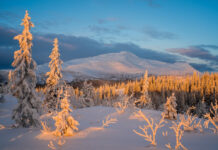 Tavs horoskops veiksmīgai dienai – 25. janvāris