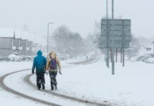 HOROSKOPA ZĪMES, kurām FEBRUĀRIS būs ĪPAŠI LABVĒLĪGS Photo by Gary Ellis on Unsplash