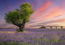 Veiksmīgākās un neveiksmīgākās horoskopa zīmes 2026. gadā