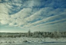 Sinoptiķi atklāj, kad Latvijā ieplūdīs siltāks gaiss – prognoze 7 dienām!