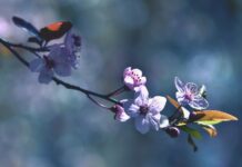 Tavs horoskops veiksmīgai dienai – 18. marts