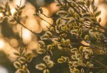 HOROSKOPA ZĪMES, kurām MARTS būs ĪPAŠI VEIKSMĪGS