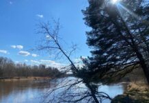 Sinoptiķiem ir jaunas vēstis par laiku turpmākajās dienās