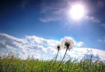 Sinoptiķiem ir pilnīgi jaunas ziņas par laiku šonedēļ