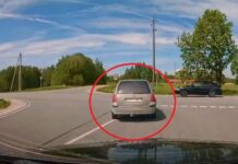 “Ģerevņa, kak jeģeš?” – Vidzemē nofilmēta autovadītāja reakcija pārsteidz nesagatavotu – VIDEO