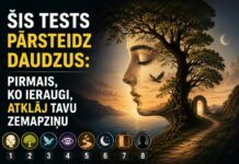 Šis tests pārsteidz daudzus: pirmais, ko ieraugi, atklāj tavu zemapziņu