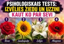Psiholoģiskais tests: izvēlies ziedu un uzzini, ko tava zemapziņa šobrīd cenšas tev pateikt