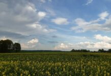 Sinoptiķiem ir pilnīgi jaunas ziņas par laiku brīvdienās un nākamnedēļ