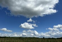 Parādās pavisam jaunas ziņas par laiku augusta sākumā