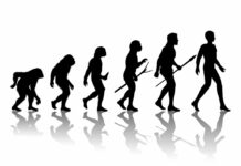 Ja evolūcija ir īsta, kāpēc joprojām pastāv pērtiķi? Zinātnieki atklāj pārsteidzošo atbildi