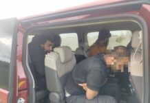 Apbrīnojams naivums: Divi nelegālo imigrantu pārvadātāji izmēģina veiksmi pierobežā